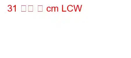 31 길이 몇 cm LCW